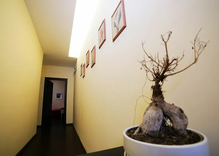 Vatican Nocleg ze śniadaniem