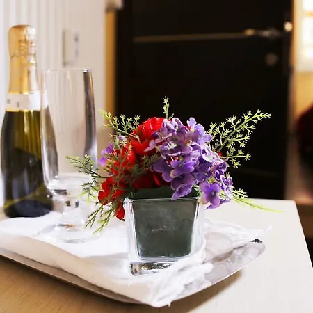 罗马梵蒂冈套房酒店 罗马