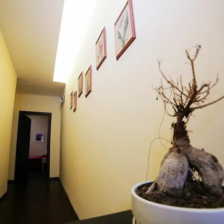 罗马梵蒂冈套房酒店 住宿加早餐酒店